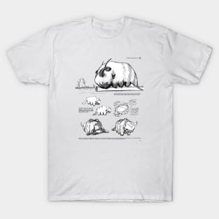 Avatar the last airbender appa sketch design animation T-Shirt